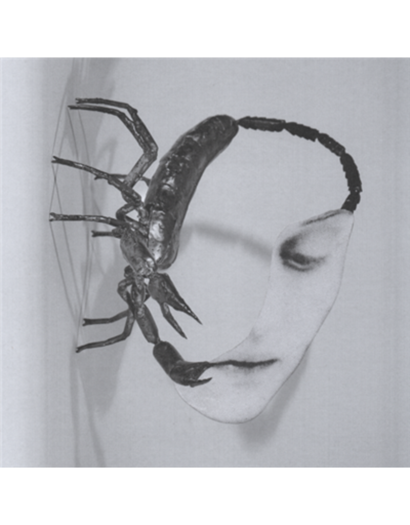 (LP) Tortoise - Touch