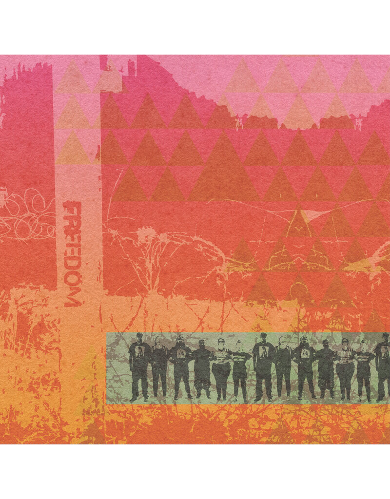 (LP) Leanne Betasamosake Simpson - Live Like The Sky