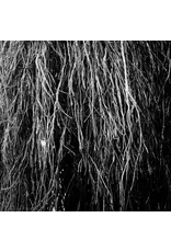 (LP) Merzbow, Igor Cavalera, Eraldo Bernocchi - Nocturnal Rainforest