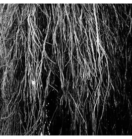 (LP) Merzbow, Igor Cavalera, Eraldo Bernocchi - Nocturnal Rainforest