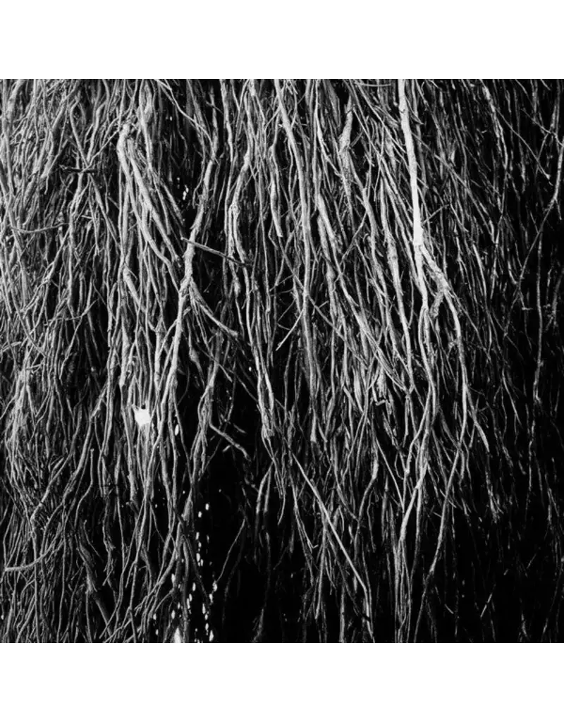 (LP) Merzbow, Igor Cavalera, Eraldo Bernocchi - Nocturnal Rainforest