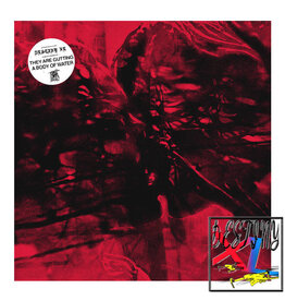 (LP) They Are Gutting a Body of Water - Destiny XL