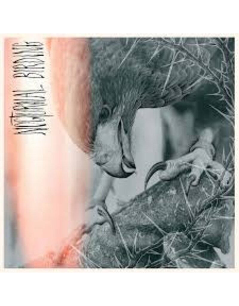 Relapse Records (LP) Author & Punisher - Nocturnal Birding (Custom Merge Vinyl)