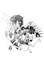 (LP) Jesca Hoop - Selective Memory