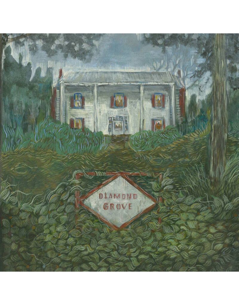 Dear Life Records (LP) Weirs - Diamond Grove