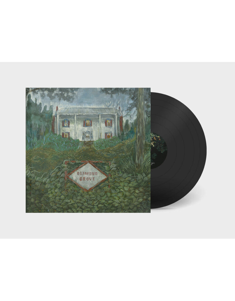 Dear Life Records (LP) Weirs - Diamond Grove