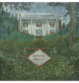 Dear Life Records (CD) Weirs - Diamond Grove