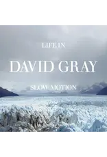 (LP) David Gray - Life In Slow Motion (20th Anniversary Edition Glacial Blue Vinyl)