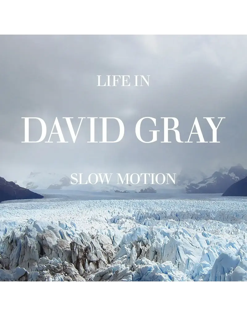 (LP) David Gray - Life In Slow Motion (20th Anniversary Edition Glacial Blue Vinyl)