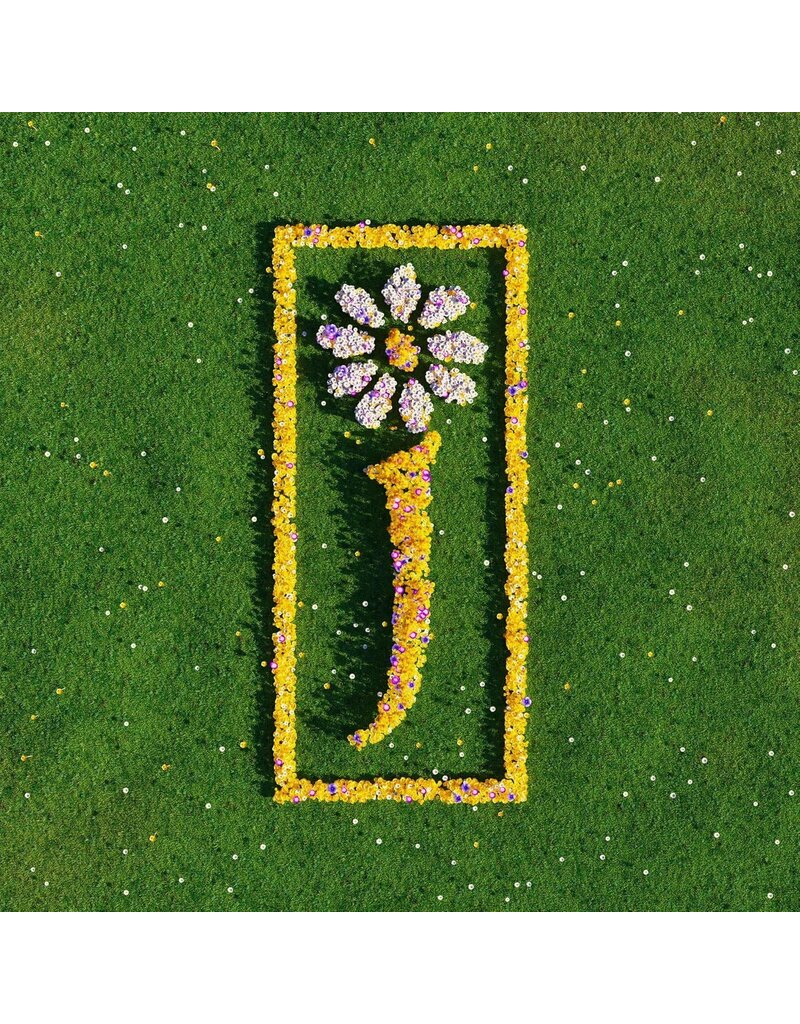 (LP) James - Nothing But Love: The Definitive Best Of (2LP)