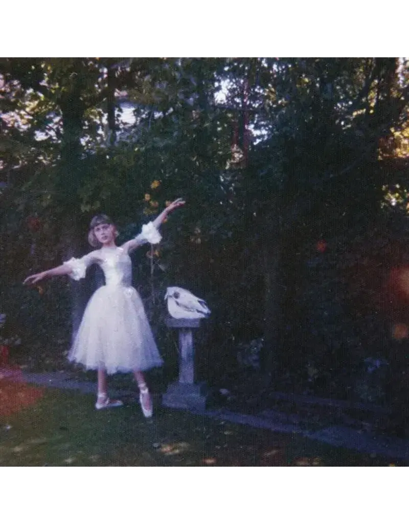 Dirty Hit (LP) Wolf Alice - Visions Of A Life (2LP)