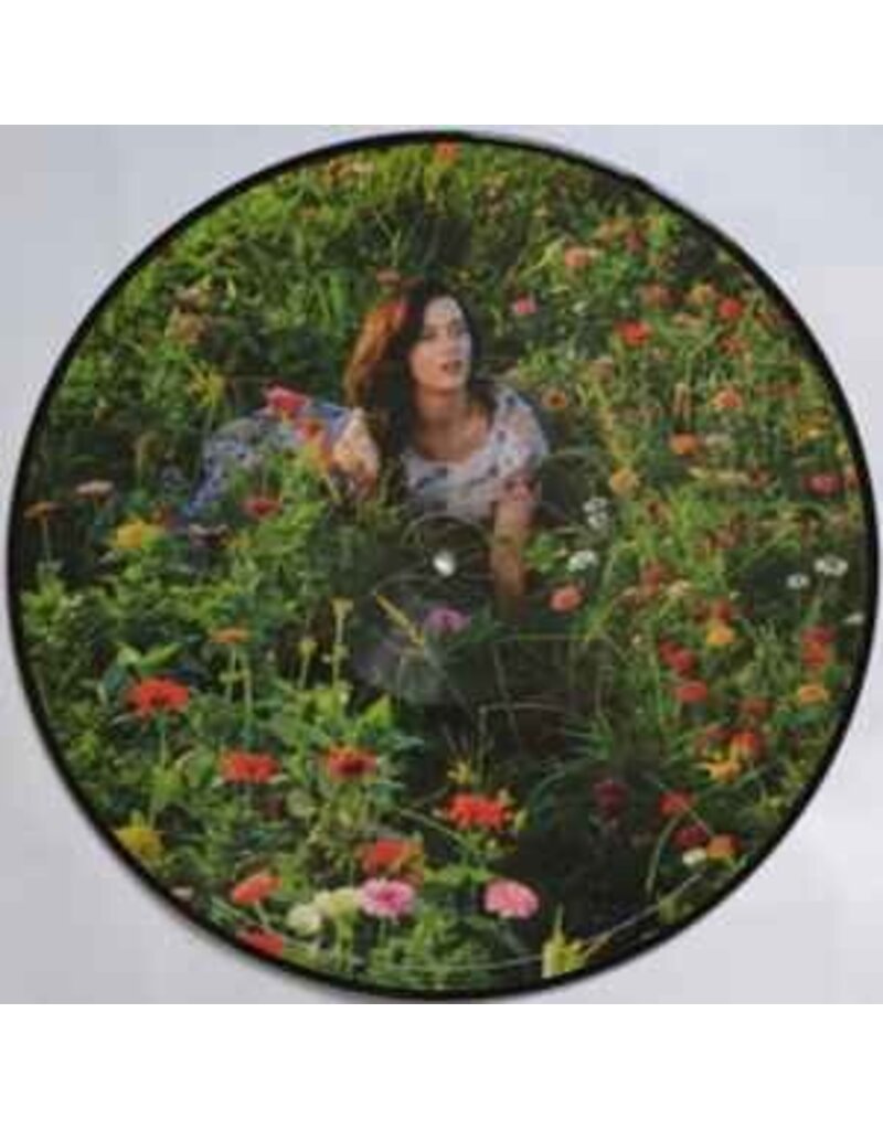 (Used LP) Katy Perry ‎– Prism (2014 RSD Picture Disc) Sealed copy!