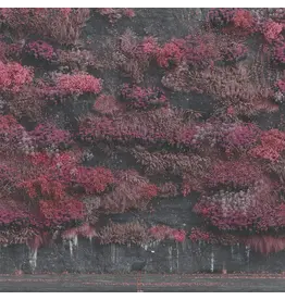 (LP) Sleep Token - Even In Arcadia (Indie Exclusive "Hint Of Blue" Vinyl) (2LP)