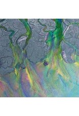 (LP) Alt-J - An Awesome Wave (Limited Edition Metallic Vinyl) (SYEOR26)