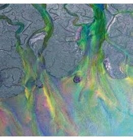 (LP) Alt-J - An Awesome Wave (Limited Edition Metallic Vinyl) (SYEOR26)