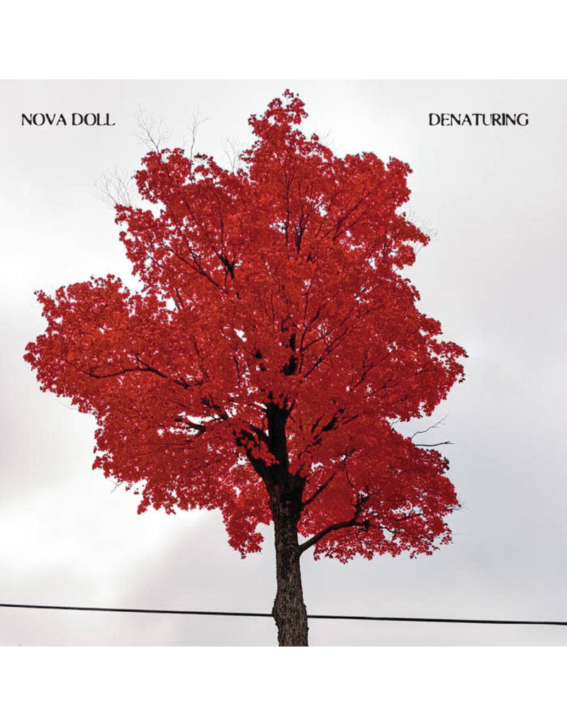 Tarantula Tapes (CS) NOVA DOLL - Denaturing (Orange Cassette)