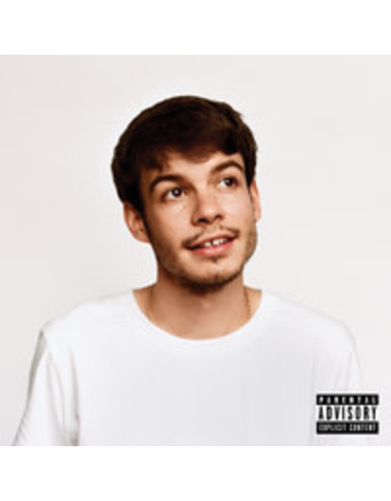 (LP) Rex Orange County - Pony
