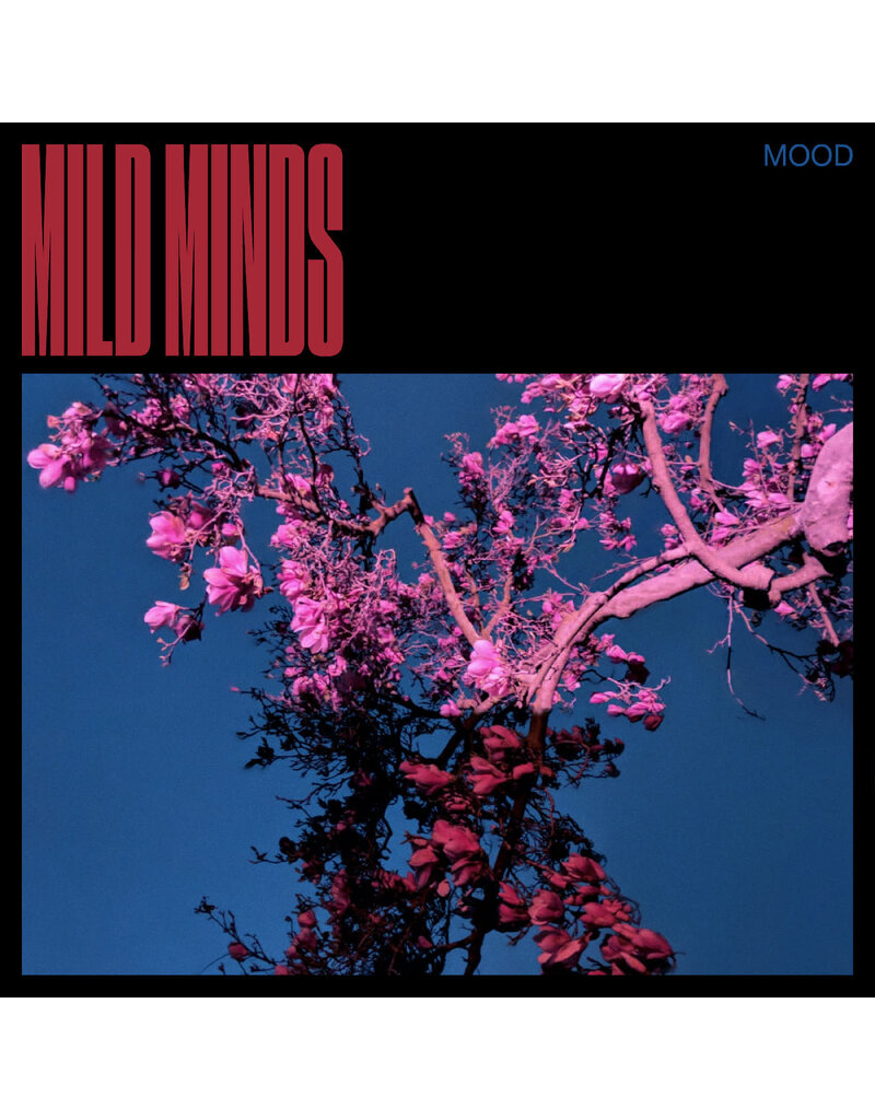 Foreign Family (LP) Mild Minds - MOOD (Blue Vinyl)
