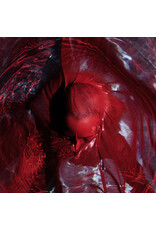 (LP) BlackWater HolyLight - Not Here Not Gone (Transparent Red Vinyl)