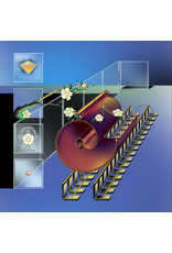 Carpark (LP) @ (At) - Mind Palace Music (Blue and White Marble Vinyl)