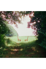 (LP) Ratboys - Singin' to an Empty Chair (Black Vinyl) (2LP)