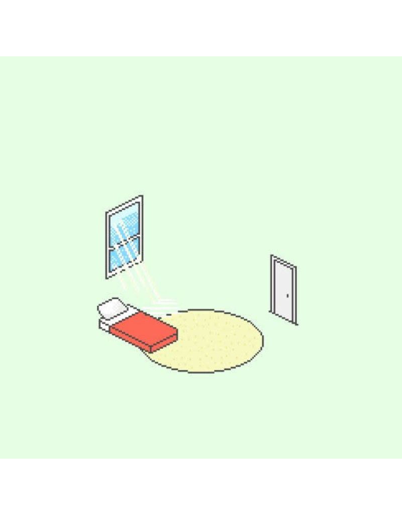 Double Double Whammy (LP) Florist - The Birds Outside Sang (10th Anniversary Edition) (Monet Marbled Vinyl)