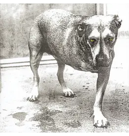 (LP) Alice In Chains - Alice In Chains (Self-Titled) (30th Anniversary) [Highlighter Yellow Vinyl]