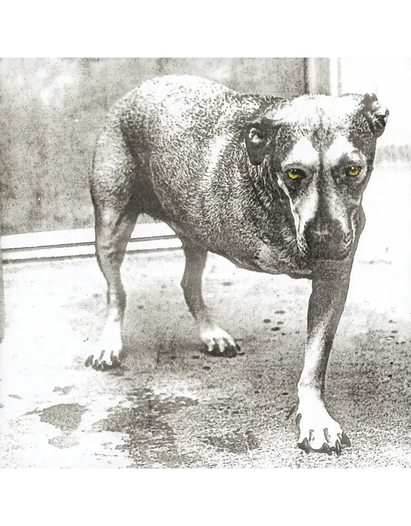 (LP) Alice In Chains - Alice In Chains (Self-Titled) (30th Anniversary) [Highlighter Yellow Vinyl]