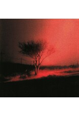 (CD) Joji - Piss In The Wind