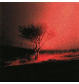 (CD) Joji - Piss In The Wind