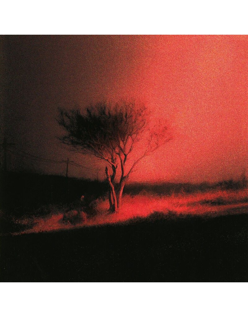 (CD) Joji - Piss In The Wind