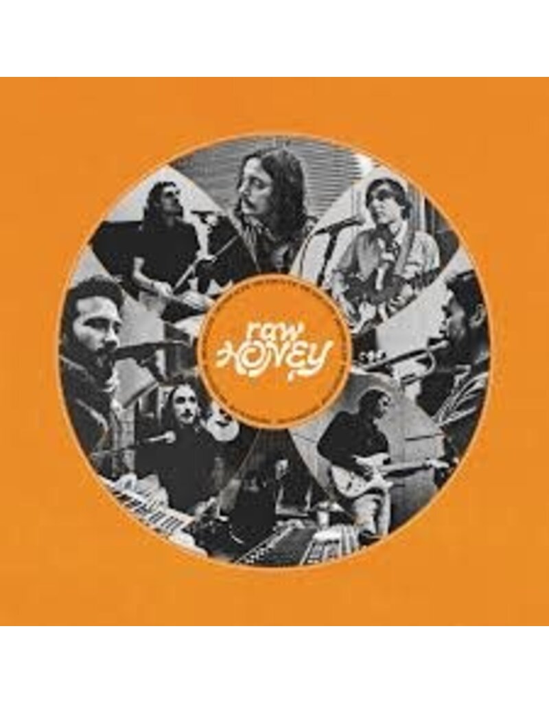 (CD) Drugdealer - Raw Honey