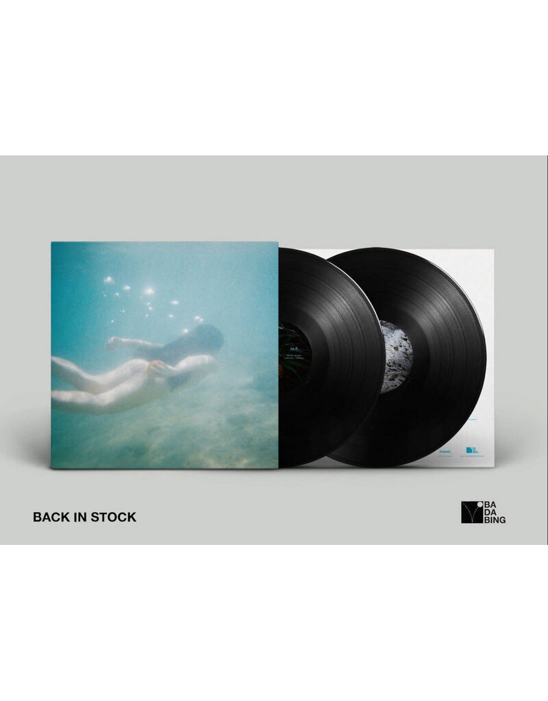 (LP) Ichiko Aoba - Windswept Adan (2LP) 2026 Reissue