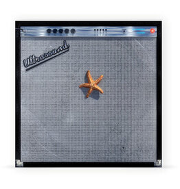 (LP) The Neighbourhood - (((((Ultrasound))))) (Opaque Tangerine Vinyl) [2LP]