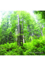 (CS) Man Meets Bear - Trees of Mystery