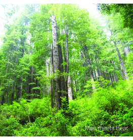 (CS) Man Meets Bear - Trees of Mystery