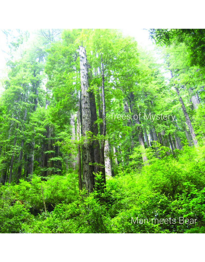 (CS) Man Meets Bear - Trees of Mystery