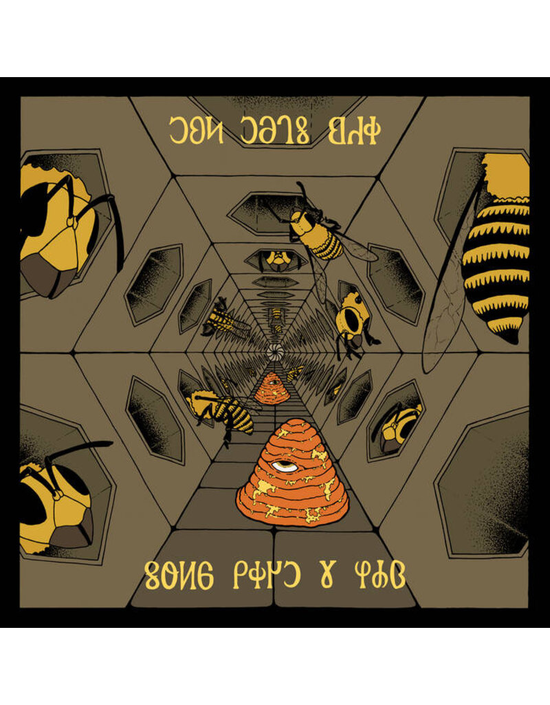 (CS) Man Meets Bear - Songs from the Hive