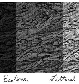 (CS) Ecotone - Littoral