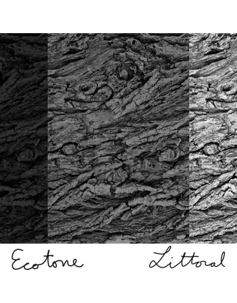 (CS) Ecotone - Littoral
