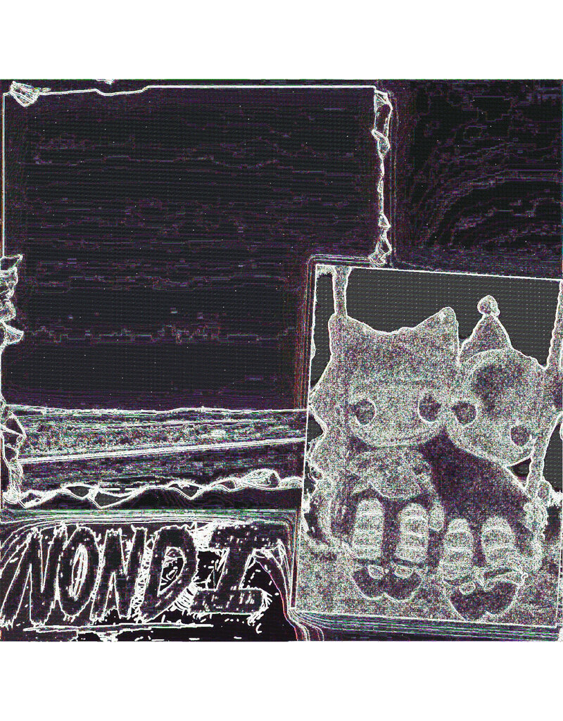 (LP) Nondi_ - Nondi...