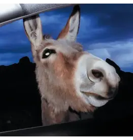 (LP) Superworld - Super World