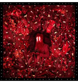 (CD) Iron & Wine - Hen's Teeth