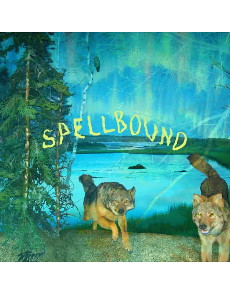 Topshelf Records (LP) Boyscott - Spellbound (Exclusive Green/Yellow Vinyl) [AUTOGRAPHED]