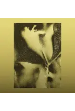 Brainfeeder (LP) Flying Lotus - 1983 (Debut EP) (Standard Repress)