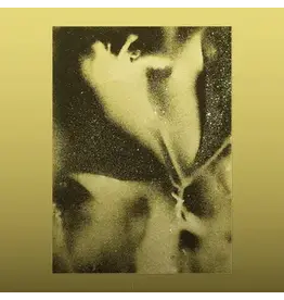 Brainfeeder (LP) Flying Lotus - 1983 (Debut EP) (Standard Repress)