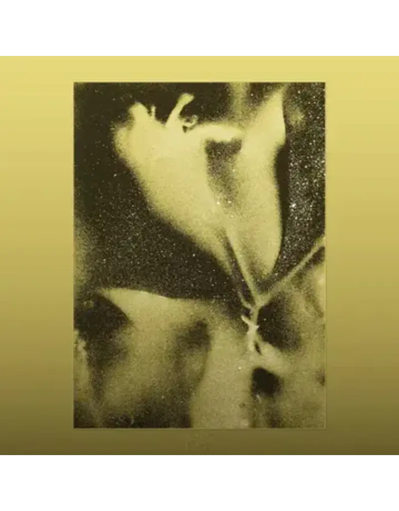 Brainfeeder (LP) Flying Lotus - 1983 (Debut EP) (Standard Repress)