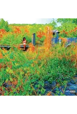 Def  Jam (LP) Jehne Aiko - Trip (2LP Picture Disc) (RSD26)