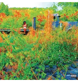 Def  Jam (LP) Jehne Aiko - Trip (2LP Picture Disc) (RSD26)