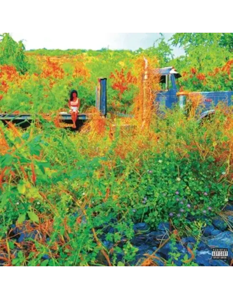 Def  Jam (LP) Jehne Aiko - Trip (2LP Picture Disc) (RSD26)